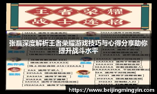 张磊深度解析王者荣耀游戏技巧与心得分享助你提升战斗水平